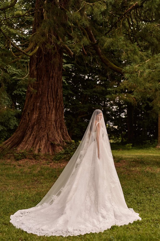 Elisora veil accessories